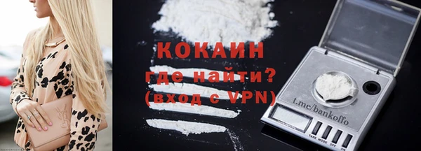 индика Горно-Алтайск