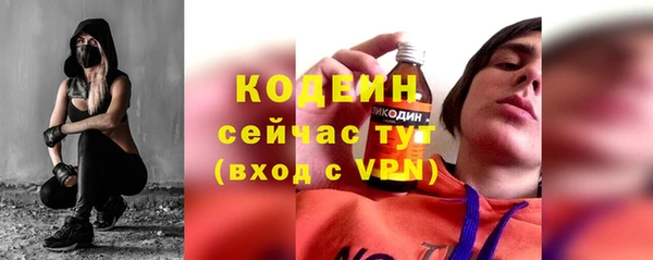 индика Горно-Алтайск