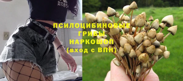 индика Горно-Алтайск