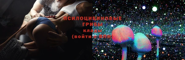 индика Горно-Алтайск