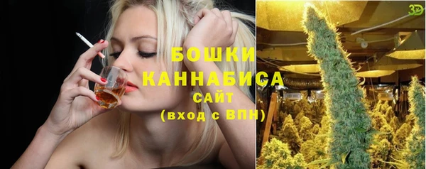 твердый Горнозаводск