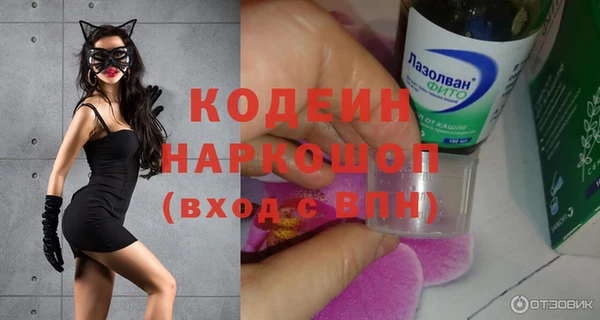 индика Горно-Алтайск