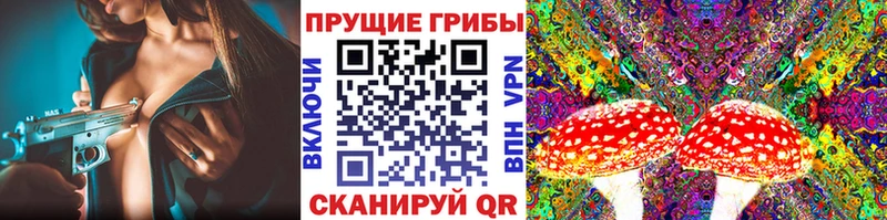 Галлюциногенные грибы Psilocybine cubensis  где найти   darknet Telegram  Хабаровск 